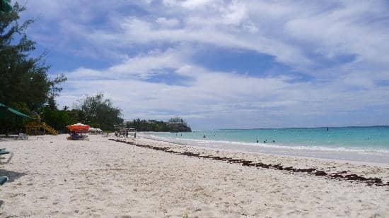 Restaurant Dining Options