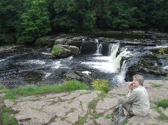 The Maze and Gardens