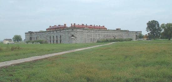 Pea Patch Island Wildlife