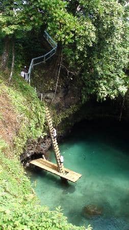 Scenic Gardens and Fales