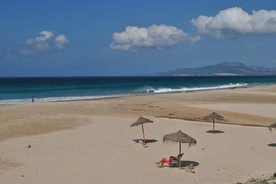 Spectacular Sunset Spectacles