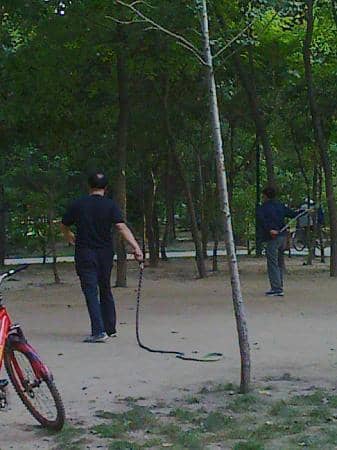 Scenic Spots and Rockery