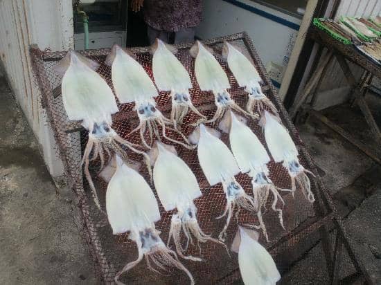 Boat Trips & Island Exploration