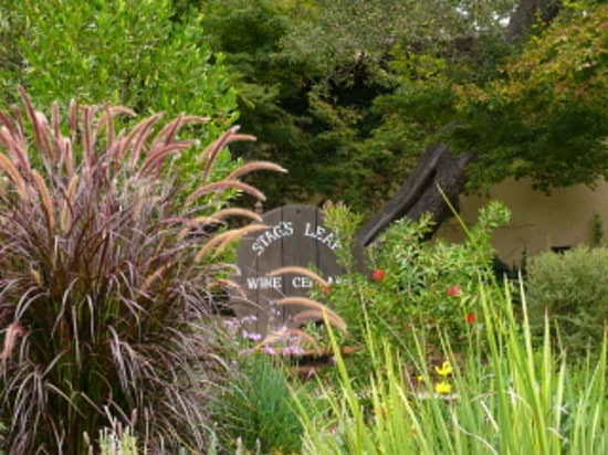 Scenic Outlook Point