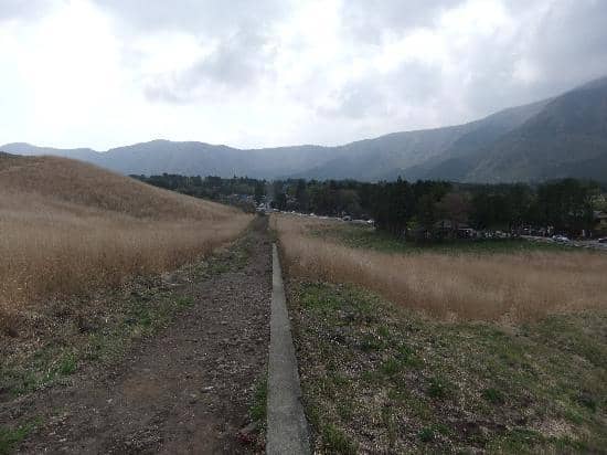 Photography Paradise