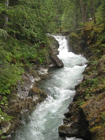 Gorge Trails