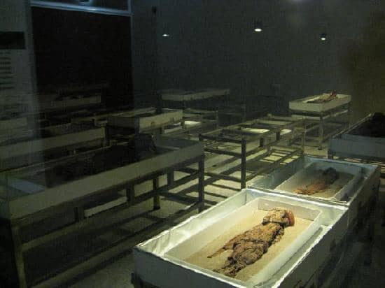 Pre-Hispanic Culture Exhibits