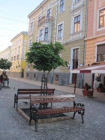 Local Cafes and Shops