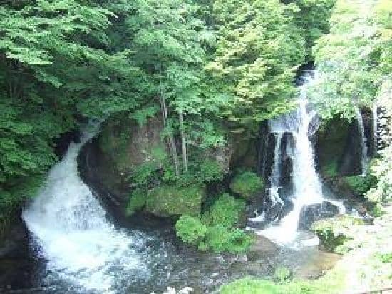 Scenic Riverside Walk