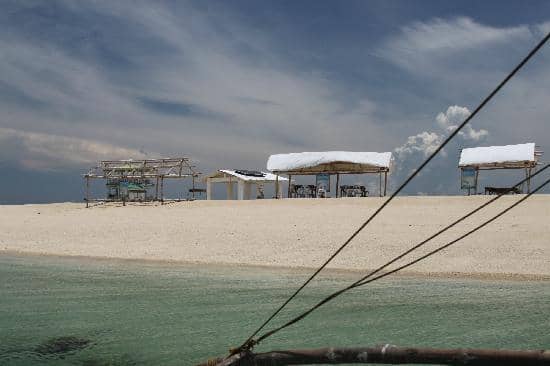 Vibrant Marine Ecosystem