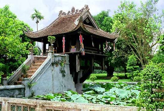The Iconic Lotus Blossom Design