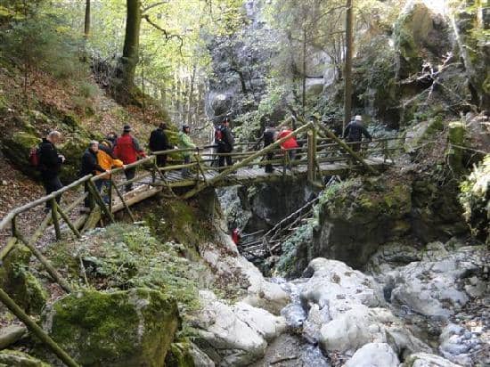 Wooden Staircase Trails