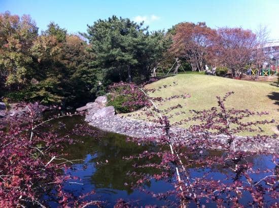 Serene Lakeside Views