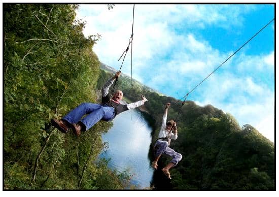 Vertical photo