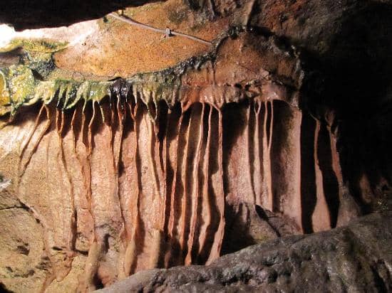 Underground Streams & Trout