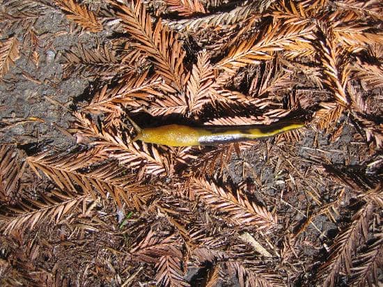 Coastal Views & Tide Pools