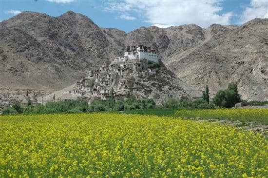Padmasambhava Statue