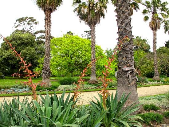 Heritage Trees