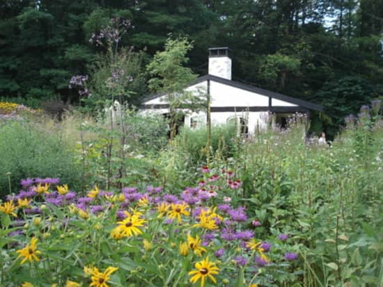 Goats at the Entrance