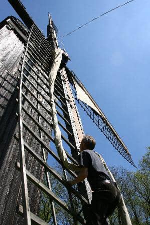 Vertical photo