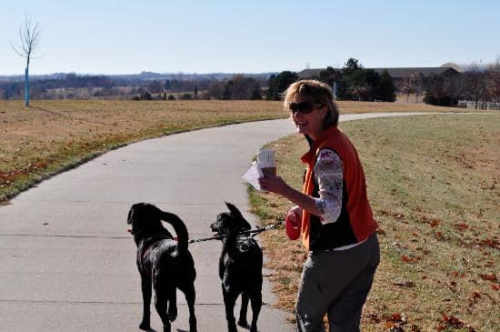 Horseback Riding Adventures