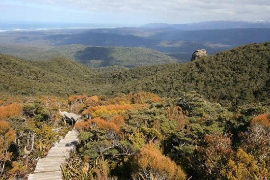 Historic Port Craig Viaducts