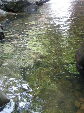 Beccari Discovery Trail