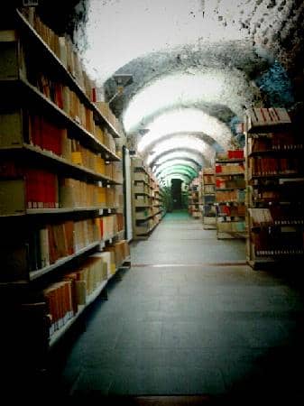 The Cloisters and Courtyards