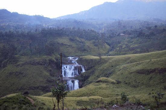 Delectable Baked Goods