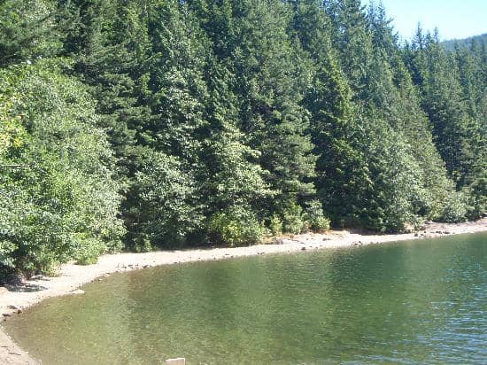 Beaver Pond Trail