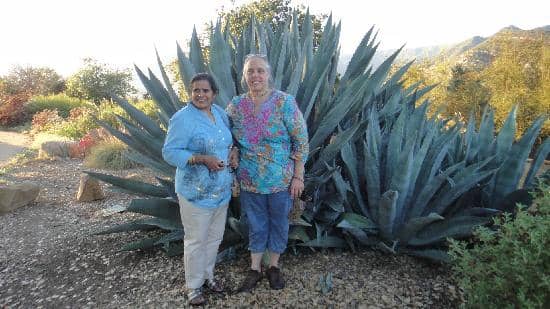 Panoramic Valley Views