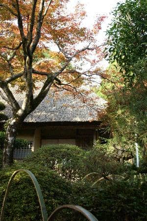Niiyama Shrine