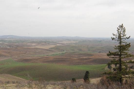 Kamiak Butte Loop Trail