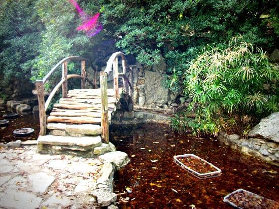 Koi Ponds & Waterfalls