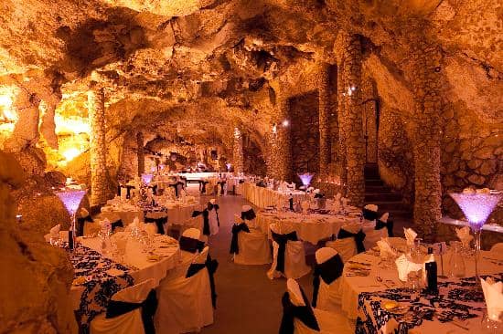 Wild Kangaroo Encounters