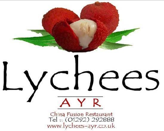 Peaceful Ambiance with Water Features