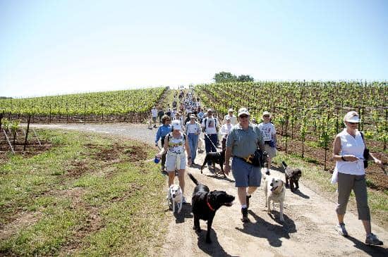 Historic Estate & Caves