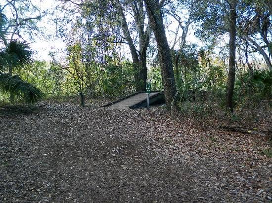 Fishing & Pond Exploration