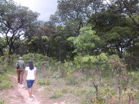 Nature Trails