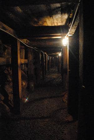 Gold Panning Experience