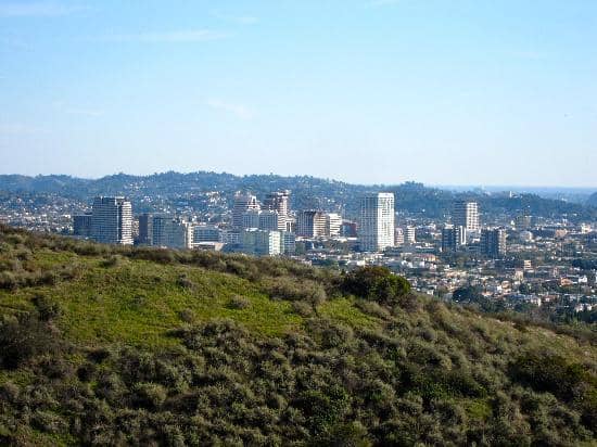 Shoseian Japanese Garden
