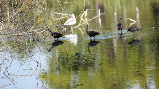 Scenic 1-Mile Loop Trail