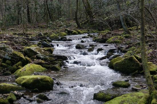 Metcalf Bottoms Picnic Area