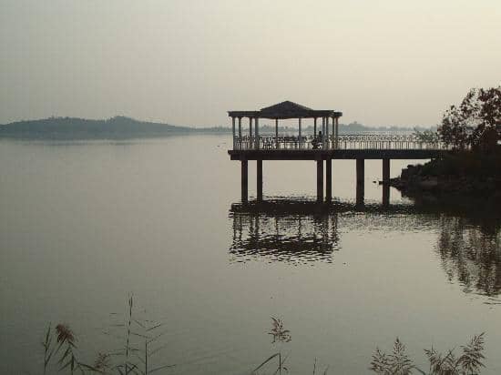 Golden Hour Serenity