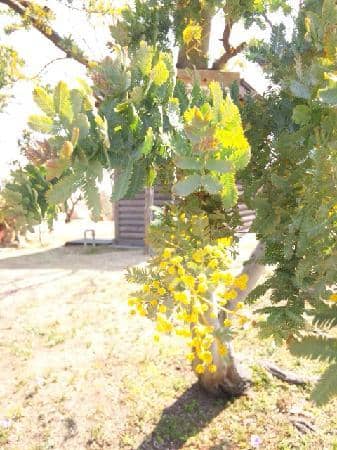 Akashi Kaikyo Bridge Views