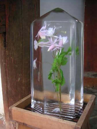Ice Offerings & Omikuji