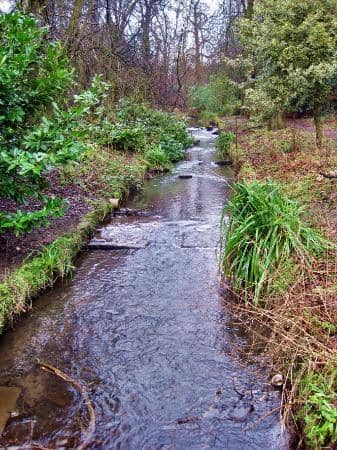 Restored Winter Garden