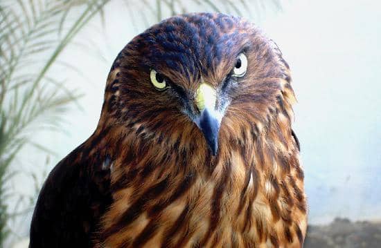 Splash Pool & Water Slide