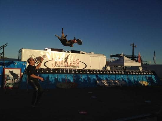 Youth Livestock Presentations