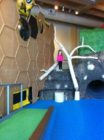 Live Bee Hive